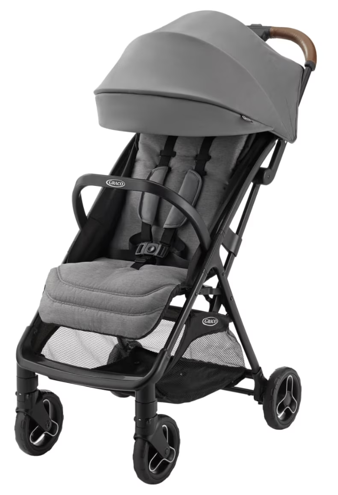 Stroller rental